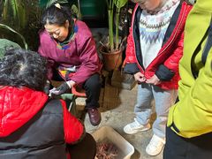 -金海椒罐罐鲢鱼(东方桂苑店)