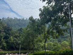 -火炉山森林公园