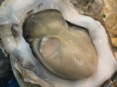 -千岛蚝高压锅生蚝·人参火锅(白云万达店)