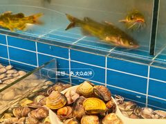 -金滏山·烤肉海鲜火锅自助(襄阳万达店)