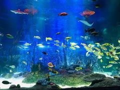 -沈阳海洋探索中心