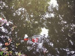 -河南省黄河迎宾馆