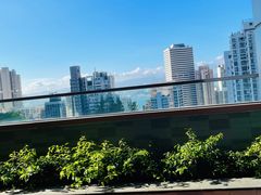-香港大学