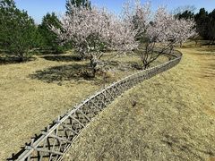 -北京西山国家森林公园