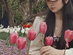 -石家庄市植物园