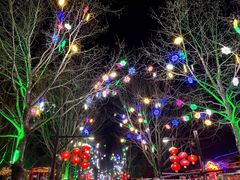 -南宫五洲植物乐园