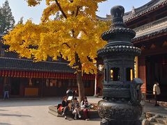 -龙华寺