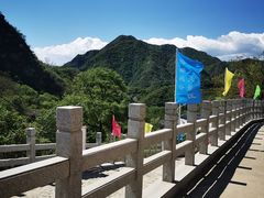 -大岭沟猕猴桃谷风景区