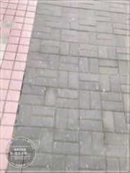-金太子形象设计