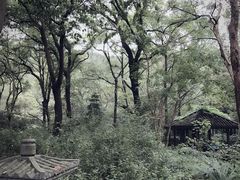 -杭州西湖风景名胜区-三生石