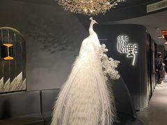 -滇野云南野生菌餐厅(陕西南路店)