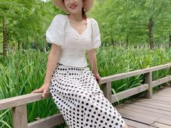 -泰州凤城河风景区-泰山公园