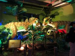 -恐龙探索乐园(磁器口店)