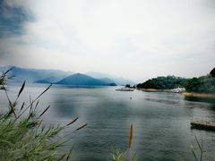 -千岛湖东南湖区