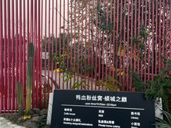-重庆平顶山公园