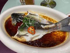 蒸山坑鲩鱼-禄福山庄•顺德菜·融和菜(龙江店)