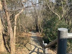 -上海佘山国家森林公园天马山园