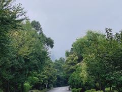 -天龙八部武侠城