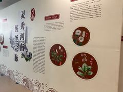 -北京中医药大学东直门医院(通州院区)