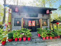 -合肥滨湖国家森林公园