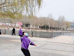 -大兴滨河森林公园