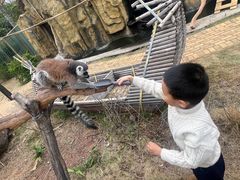 -灵玲国际马戏城