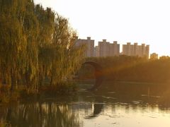 -昆山城市生态森林公园