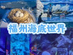 -左海海底世界