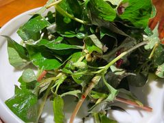 拌折耳根-青城甲(青城山店)