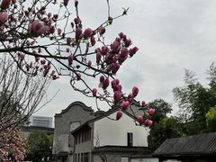 -龙潭水乡