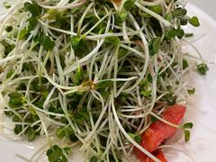 -蓬莱春(芝罘店)