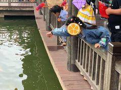 -枫香湖儿童公园