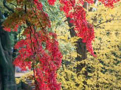 -青岛崂山太清宫