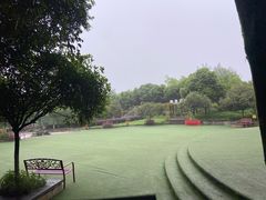 -铁山坪森林公园