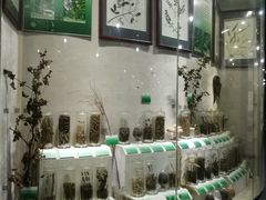 -广东中医药博物馆