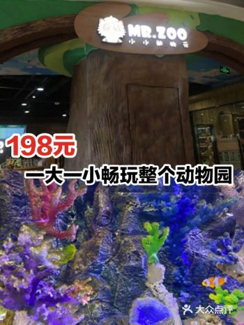 198元一大一小畅玩整个动物园