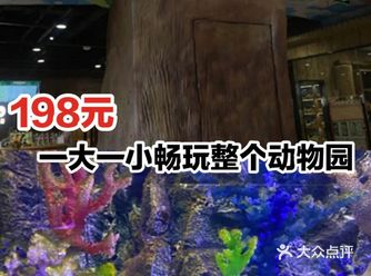 198元一大一小畅玩整个动物园