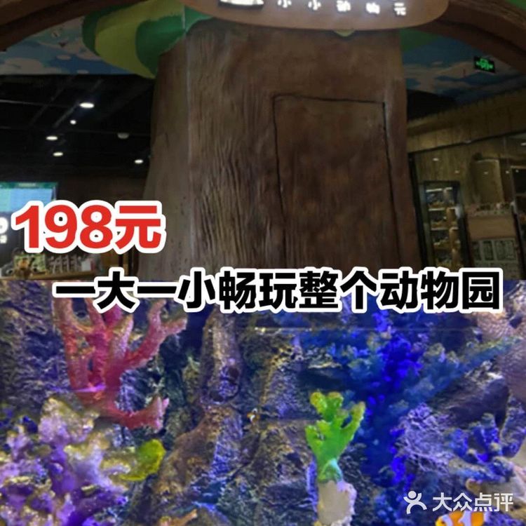 198元一大一小畅玩整个动物园