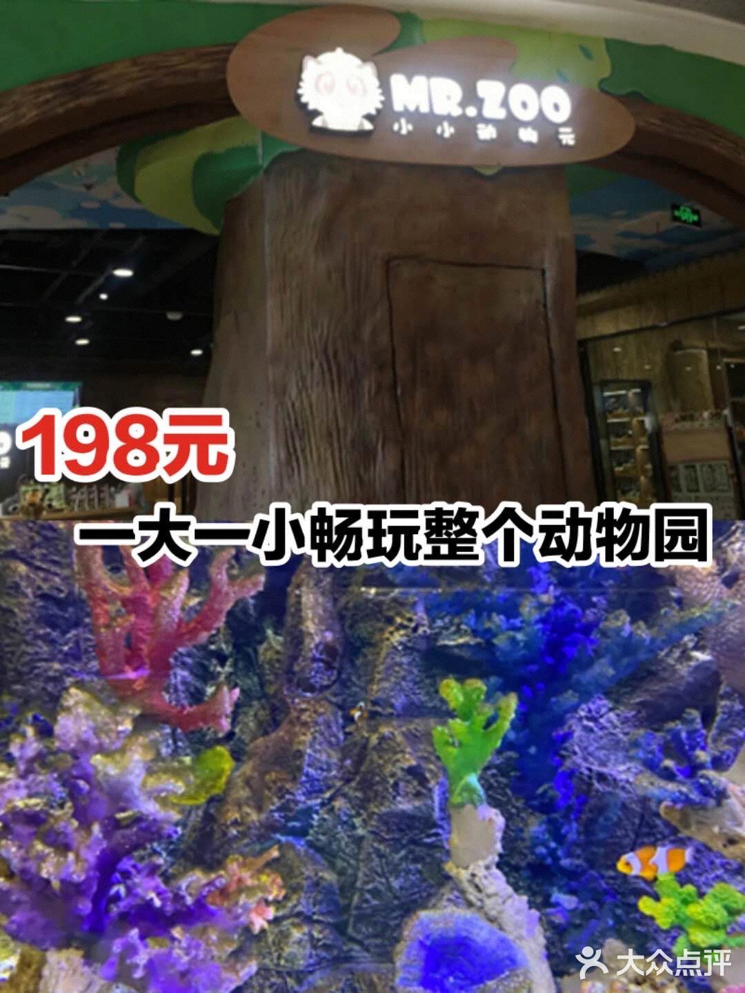 198元一大一小畅玩整个动物园