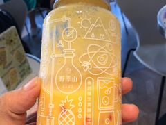 -野萃山·潮汕厚果汁(十亩地店)