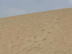 -黄沙古渡原生态旅游区