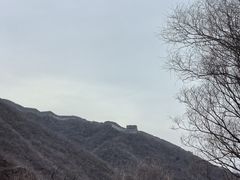 -天源渔港农庄