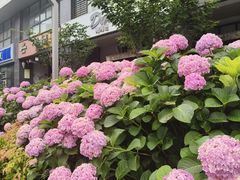 -宁波府城隍庙