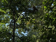 -黔灵山公园