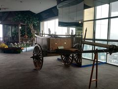 -彩虹云霄拜约克摩天塔