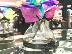 -ROSEONLY诺誓(磐基中心店)