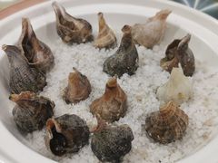 盐焗花螺-旺富东海大酒楼(海鲜街店)