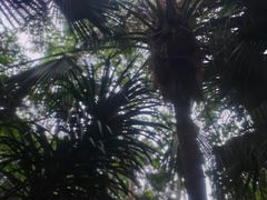 -汇雅温泉