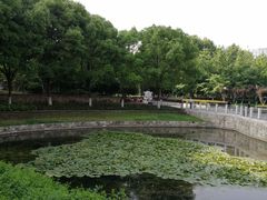 -后襄河公园