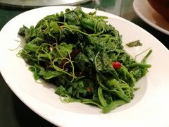 -云里小坐·小院里·团建·宴请·下午茶(三圣乡店)